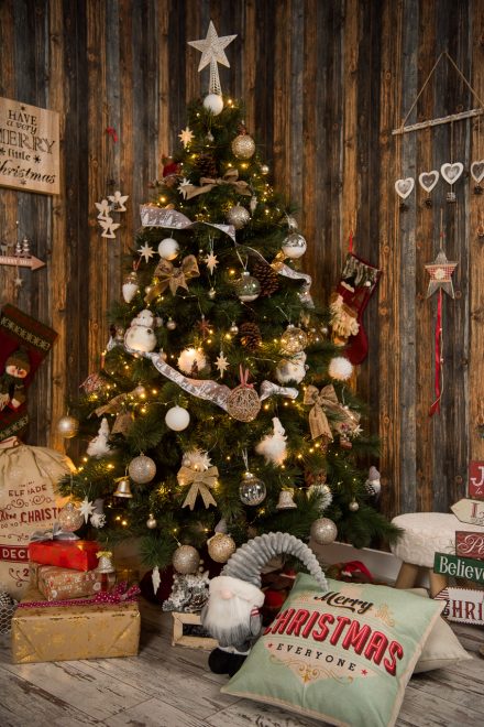 Craciun 2019 – 00005