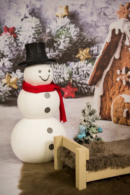 Craciun 2019 – 00018