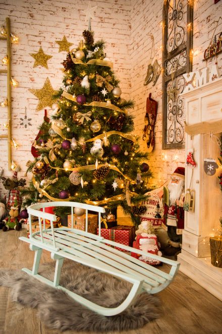 Sedinta foto – 030