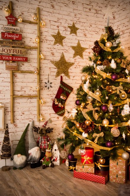 Sedinta foto – 037