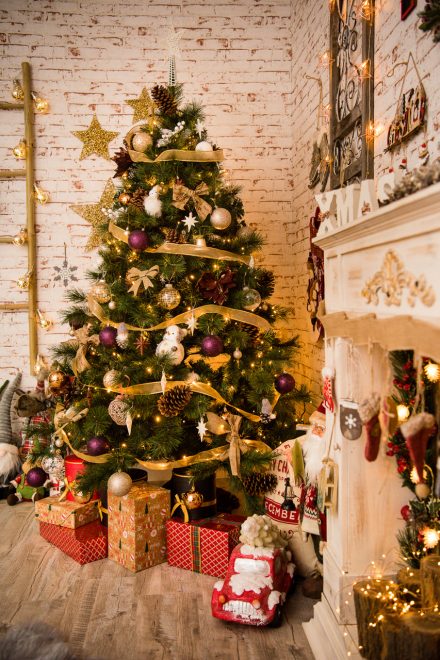 Sedinta foto – 041