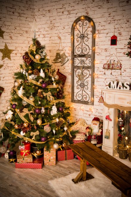 Sedinta foto – 045